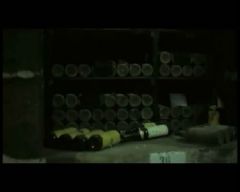 Кадр из видео ролика "Самое старое вино..."