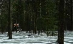 Кадр из видео ролика "Spring in the City"